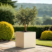 60cm Zinc Galvanised Cream Square Planter